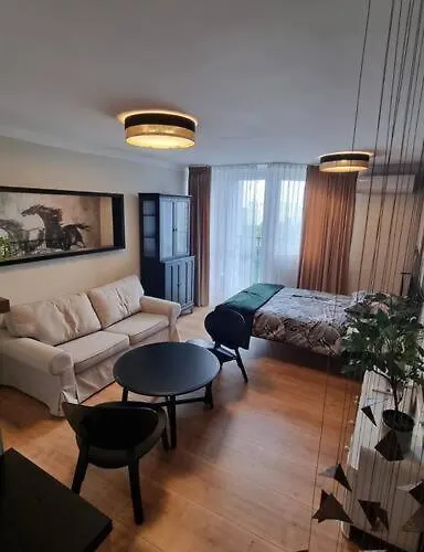 Apartament Centrum - Ekskluzywna Kawalerka *