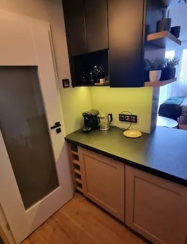 Apartament Centrum - Ekskluzywna Kawalerka Katowice